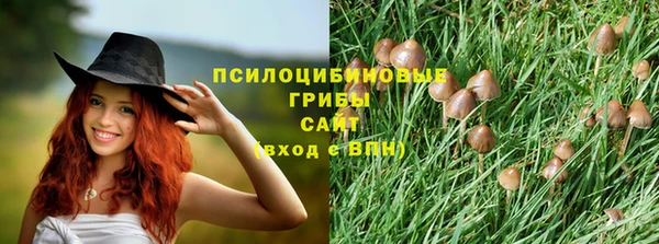 кокс Алзамай
