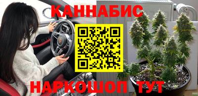 скорость Новокубанск
