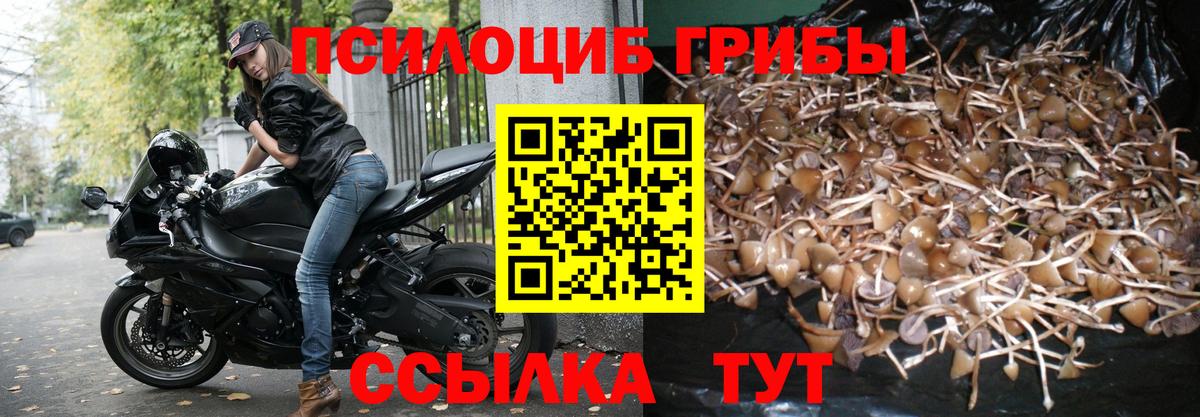 Галлюциногенные грибы GOLDEN TEACHER  Вход с VPN  Феодосия  Псилоцибиновые грибы ЛСД 
